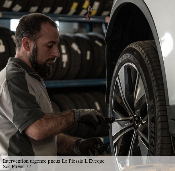 intervention-urgence-pneus-professionnelle-le-plessis-l-eveque-77165-4