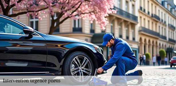 intervention-urgence-pneus-professionnelle-le-plessis-l-eveque-77165-6