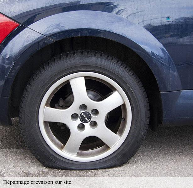 professionnel-en-depannage-crevaison-sur-site-beaumont-du-gatinais-77890-3