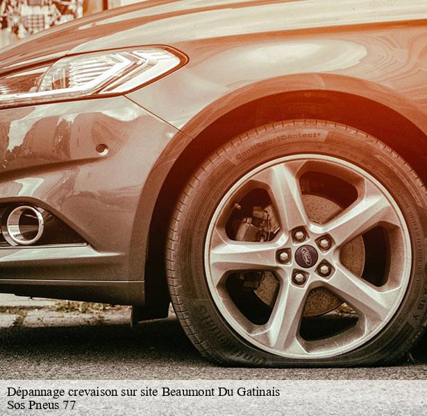 professionnel-en-depannage-crevaison-sur-site-beaumont-du-gatinais-77890-4