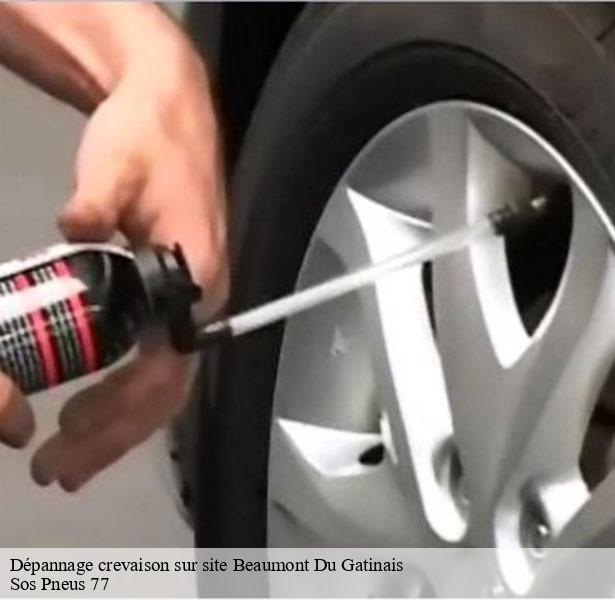 professionnel-en-depannage-crevaison-sur-site-beaumont-du-gatinais-77890-7