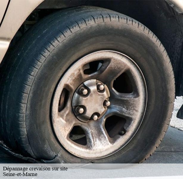 professionnel-en-depannage-crevaison-sur-site-marne-la-vallee-77420-8