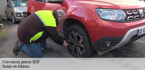 expert-en-crevaison-pneus-idf-marne-la-vallee-77420-5