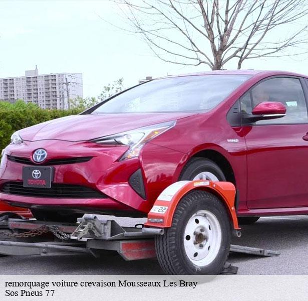 remorquage-voiture-crevaison-par-un-professionnel-mousseaux-les-bray-77480-1