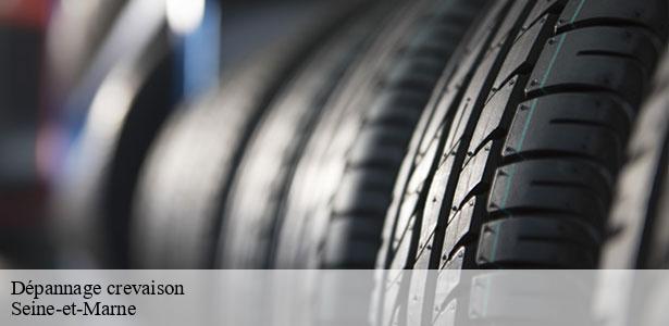 service-de-depannage-crevaison-marne-la-vallee-77420-5