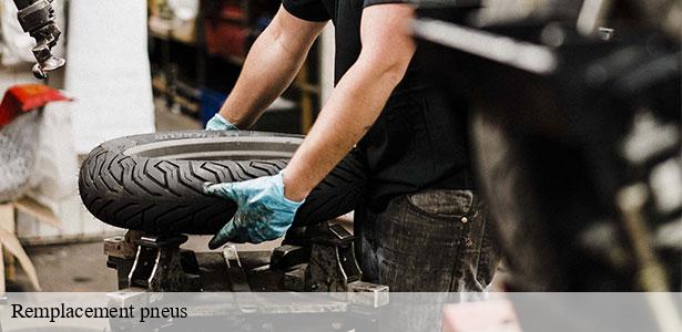 service-de-remplacement-pneus-citry-77730-6