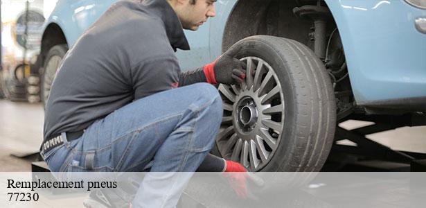 service-de-remplacement-pneus-longperrier-77230-5