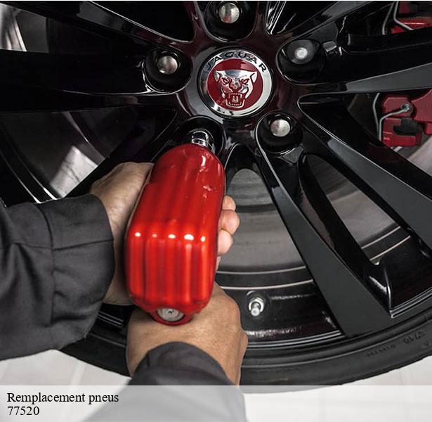 service-de-remplacement-pneus-sognolles-en-montois-77520-8