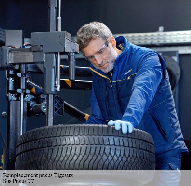 service-de-remplacement-pneus-tigeaux-77163-1