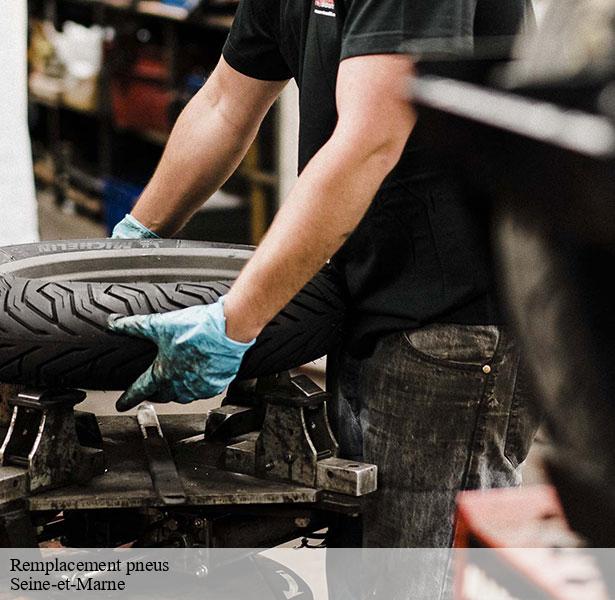 service-de-remplacement-pneus-marne-la-vallee-77420-2